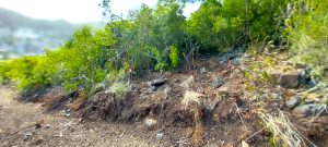 VORST ESTATE HILLSIDE LOT